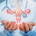 عکس رنگی رحم