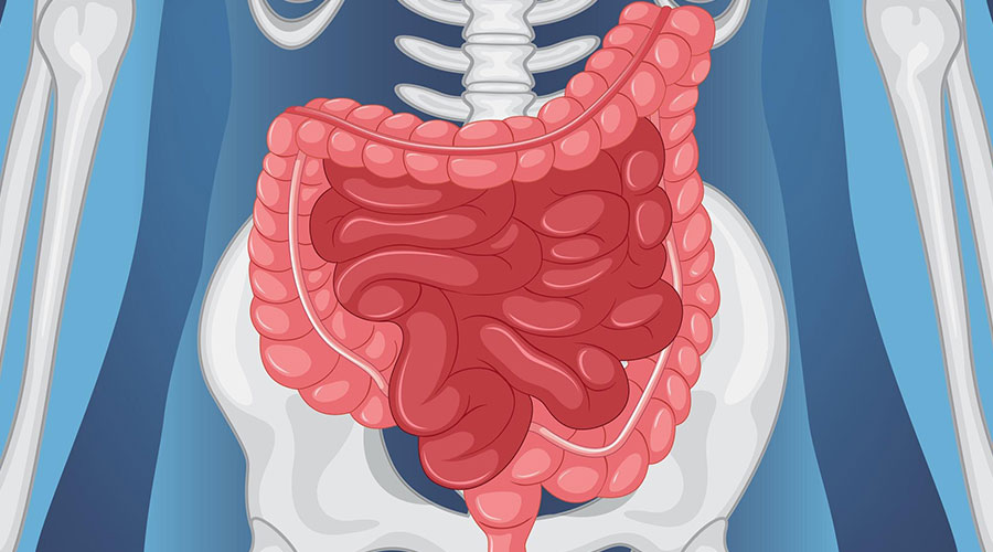 ماده حاجب باریم چیست؟ چه نقشی در عکس رنگی ترانزیت روده دارد؟