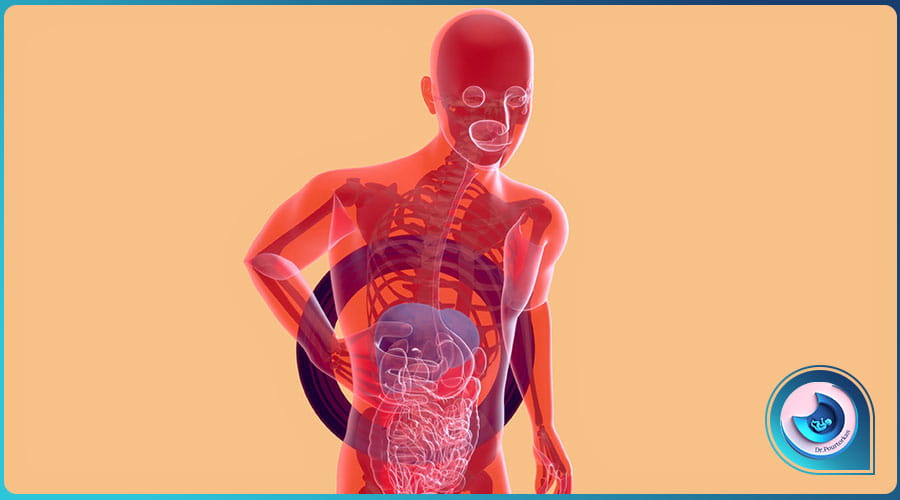اصطلاحات عکس رنگی معده